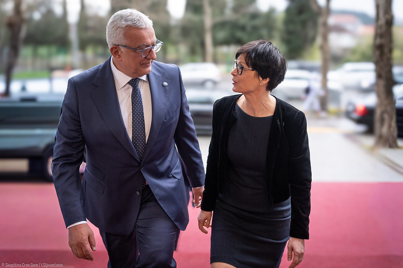 Mandić sa Kos: Srpski narod u Crnoj Gori ne vidi EU kao prijetnju svom identitetu