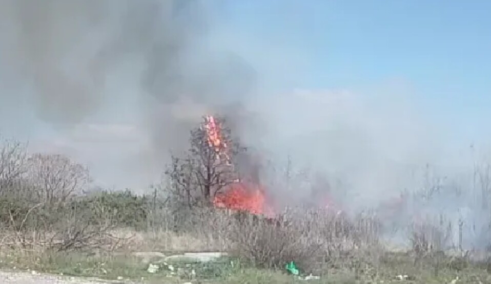 Podgorica: Ugašen požar u mjestu Šteke, gorjelo rastinje