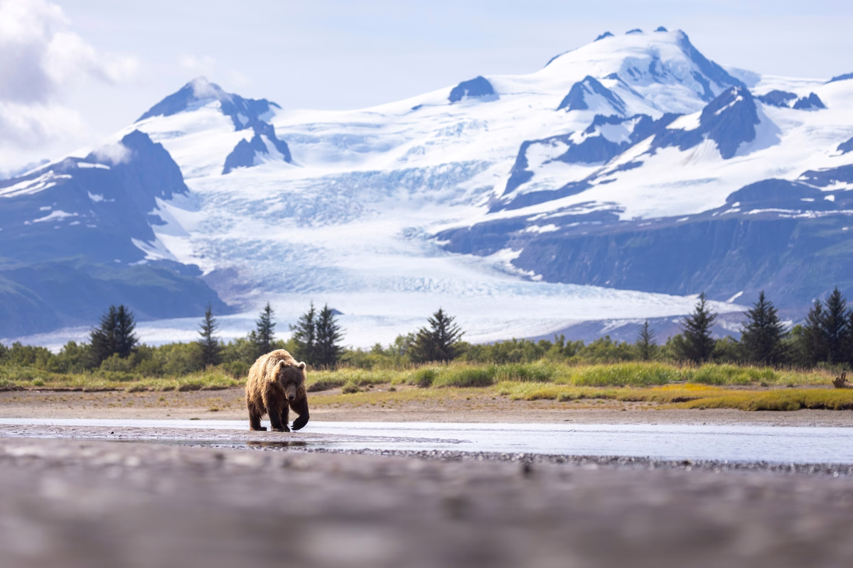 Foto: Shutterstock/ BlueBarronPhoto
