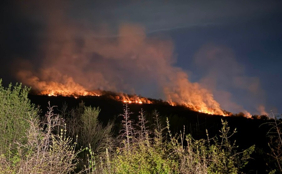 Šumski požar u Lješanskoj nahiji, vatra ne prijeti kućama