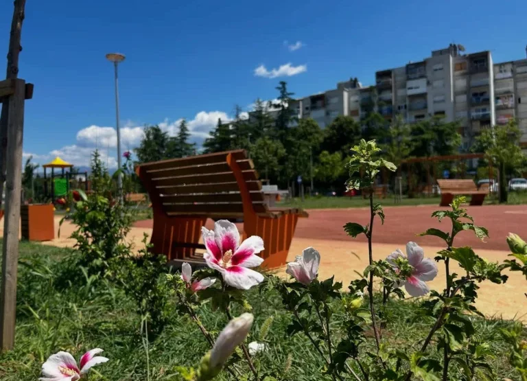 GP ,,Zelenilo”: Budžetom za 2026. obezbijeđeno pet miliona eura za održavanje zelenih površina