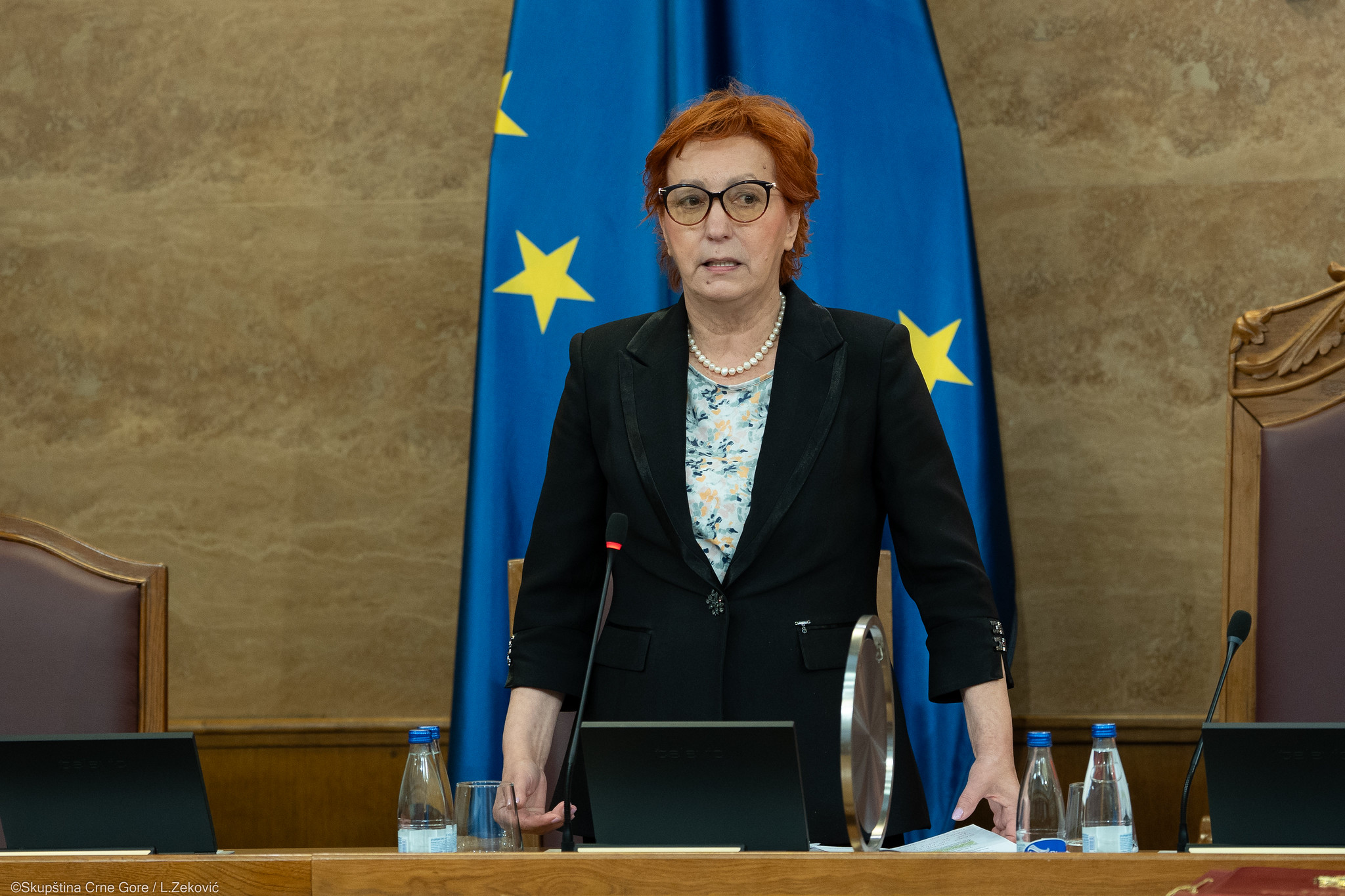 Foto: Skupština CG