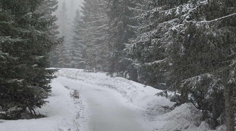 Foto: Nacionalni parkovi Crne Gore