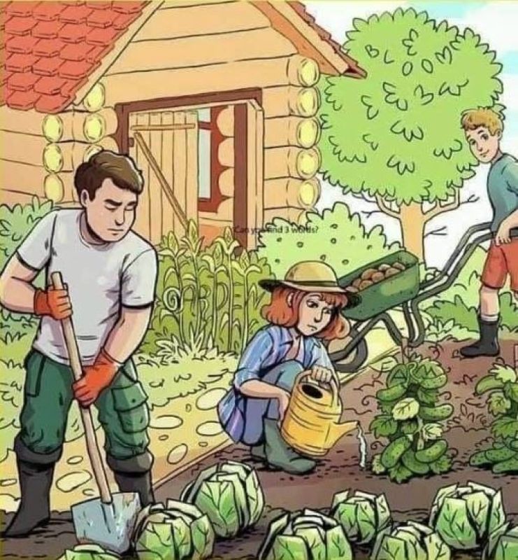 ILUSTRACIJA