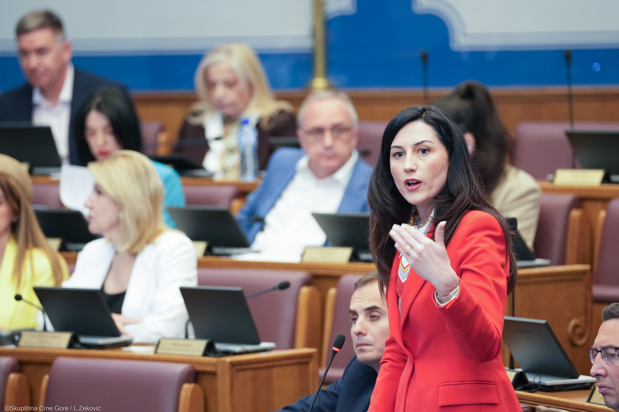 Foto: SKUPŠTINA CG