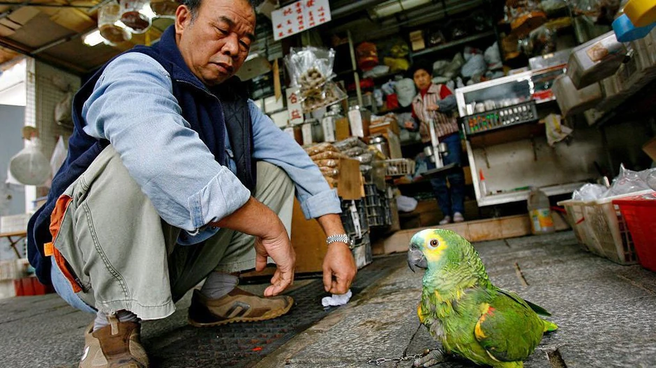 Foto: Getty