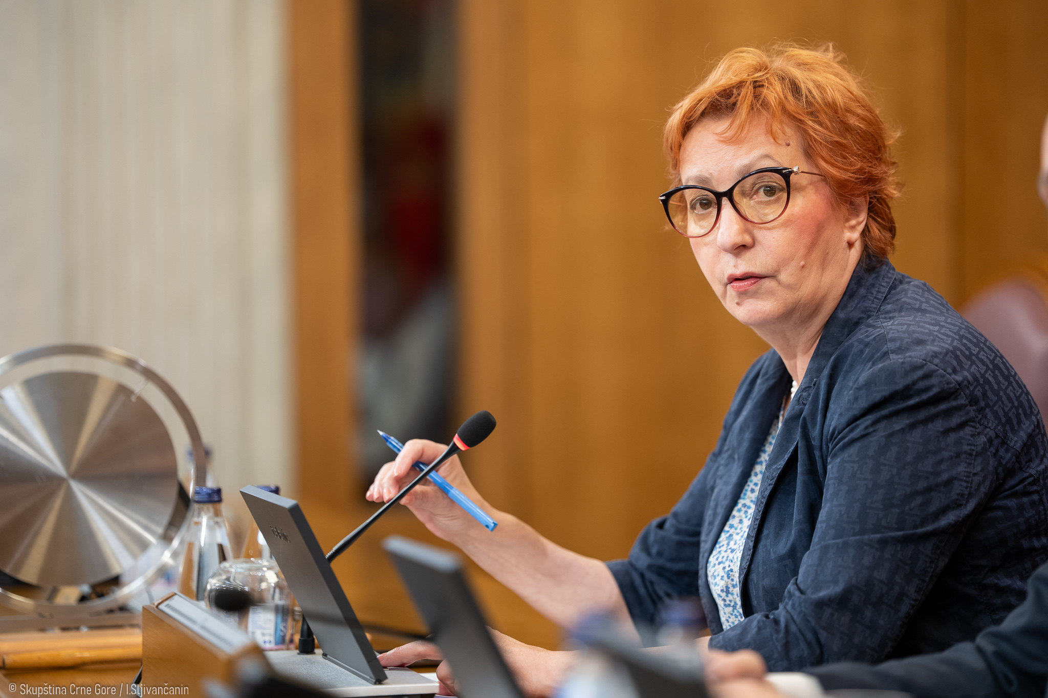 FOTO: SKUPŠTINA CG