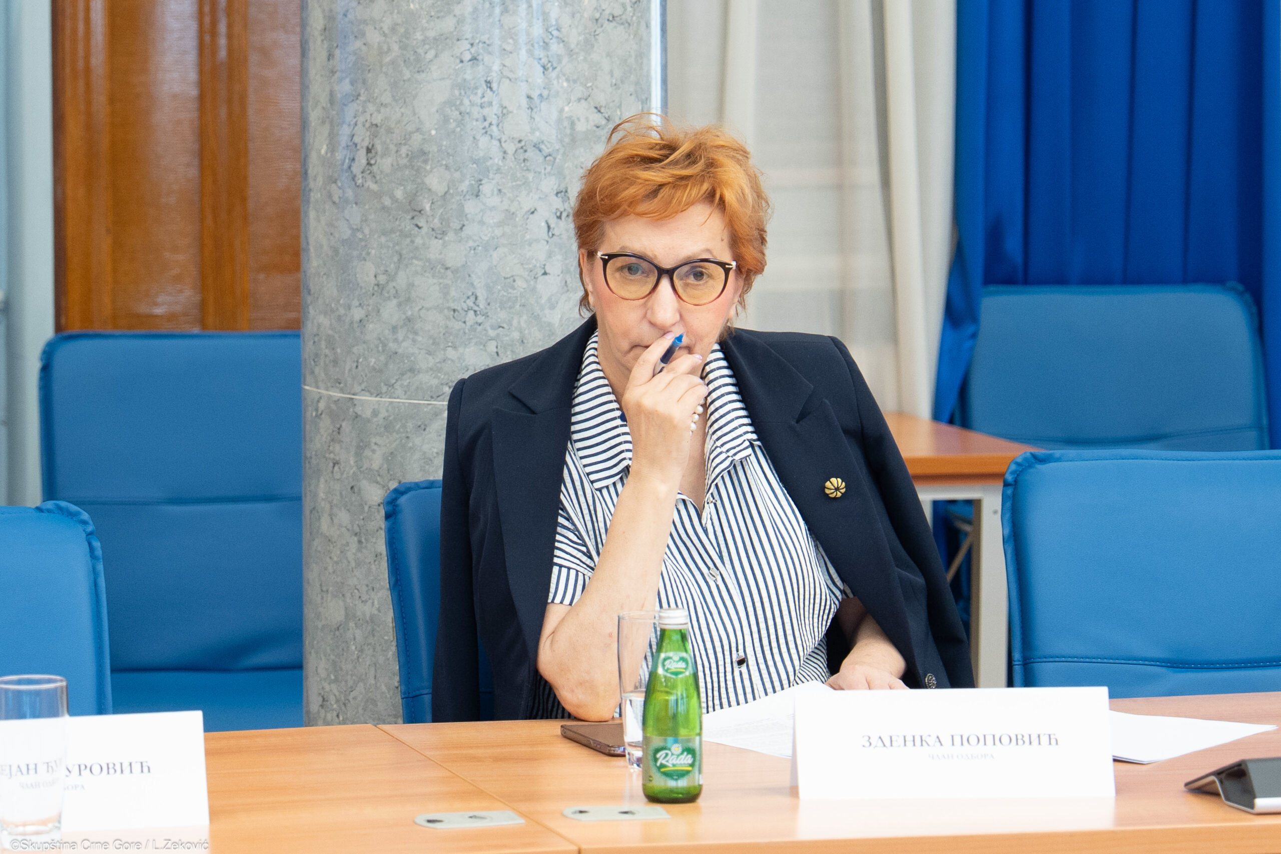 FOTO: SKUPŠTINA CG