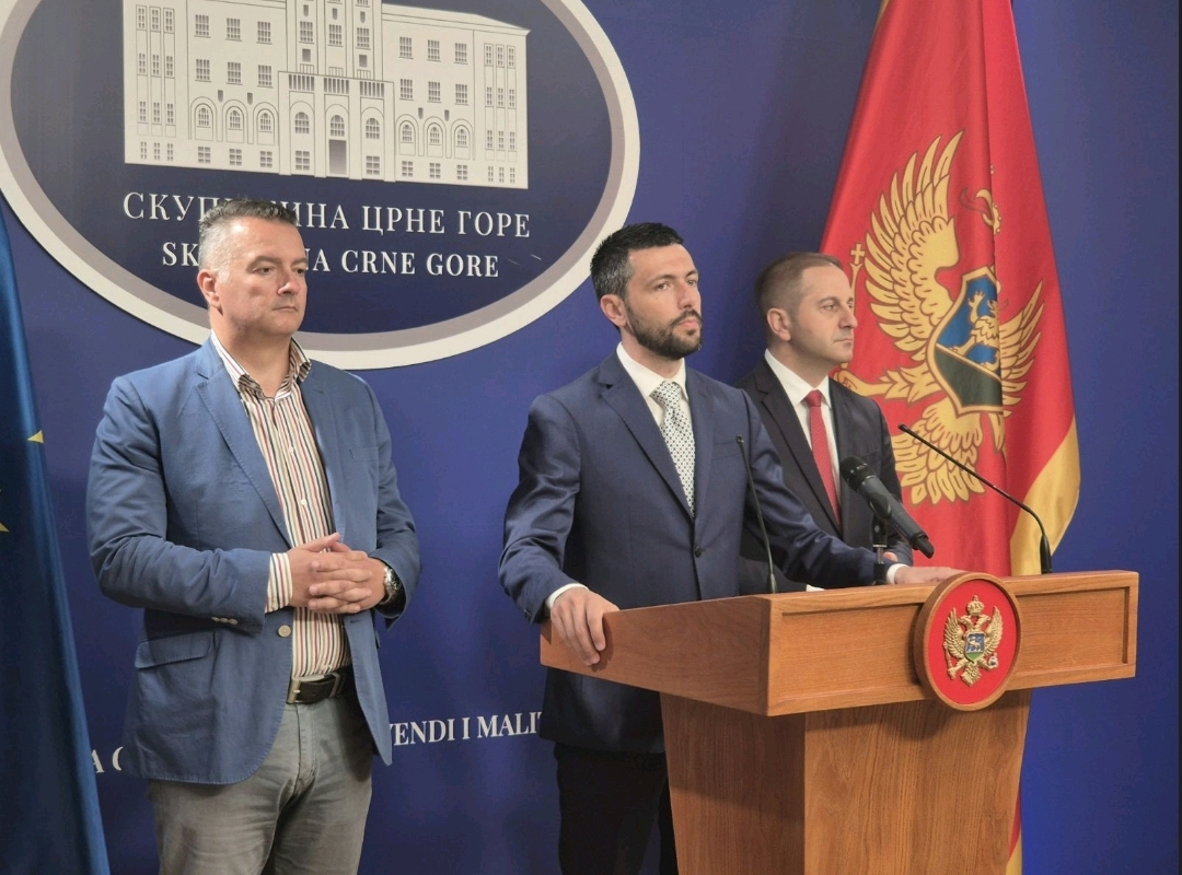 (VIDEO) ŽIVKOVIĆ ZA STANDARD: Obavili smo razgovore sa nezavisnim opozicionim poslanicima, postoji načelna saglasnost oko platfrome
