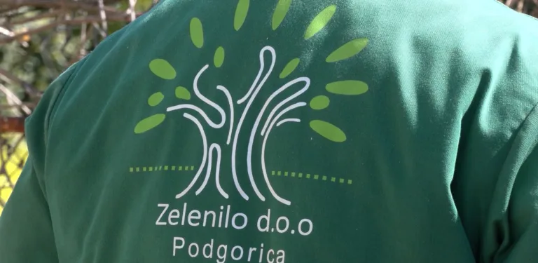 Foto: RTV Podgorica