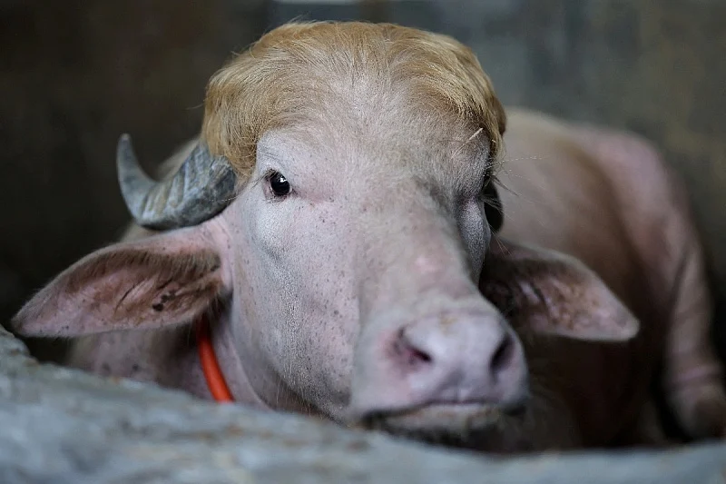 Foto: Reuters
