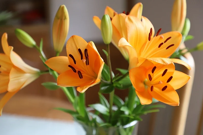 Foto: Shutterstock