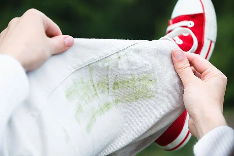 Foto: Shutterstock