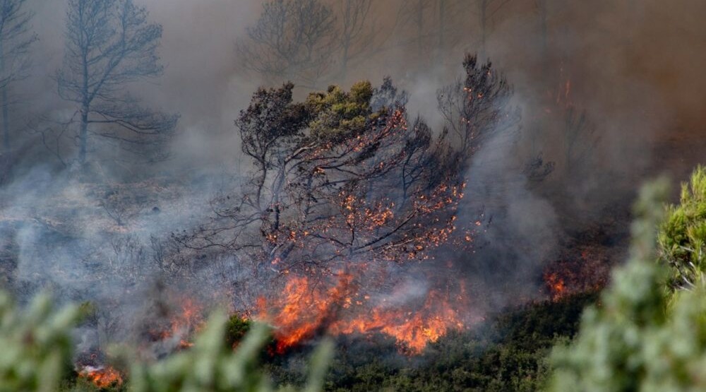 Foto: EPA/CHLOE REULET