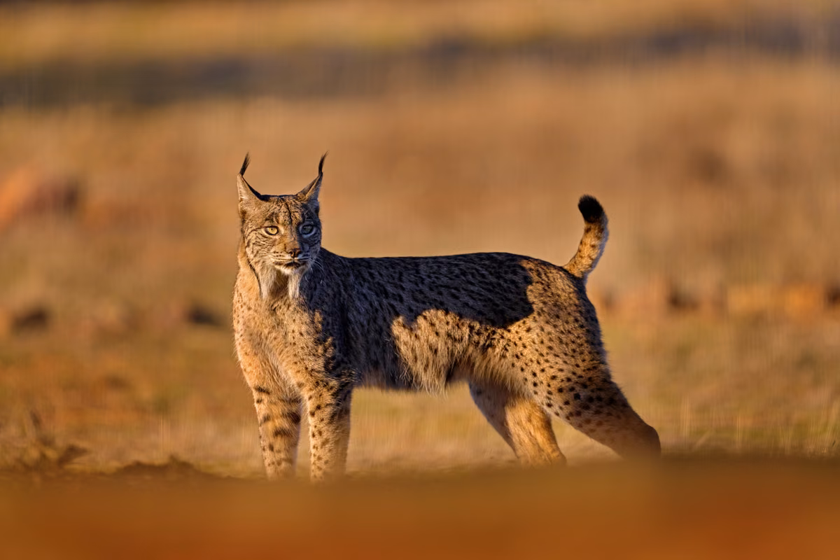 Ondrej Prosicky/Shutterstock
