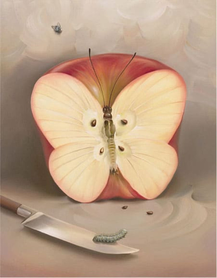 Ilustracija