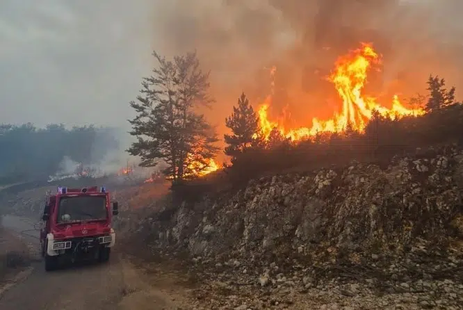 Foto:Opština Plužine