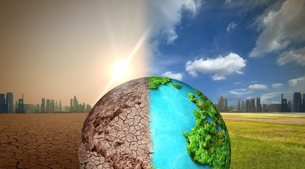 Foto:Shutterstock