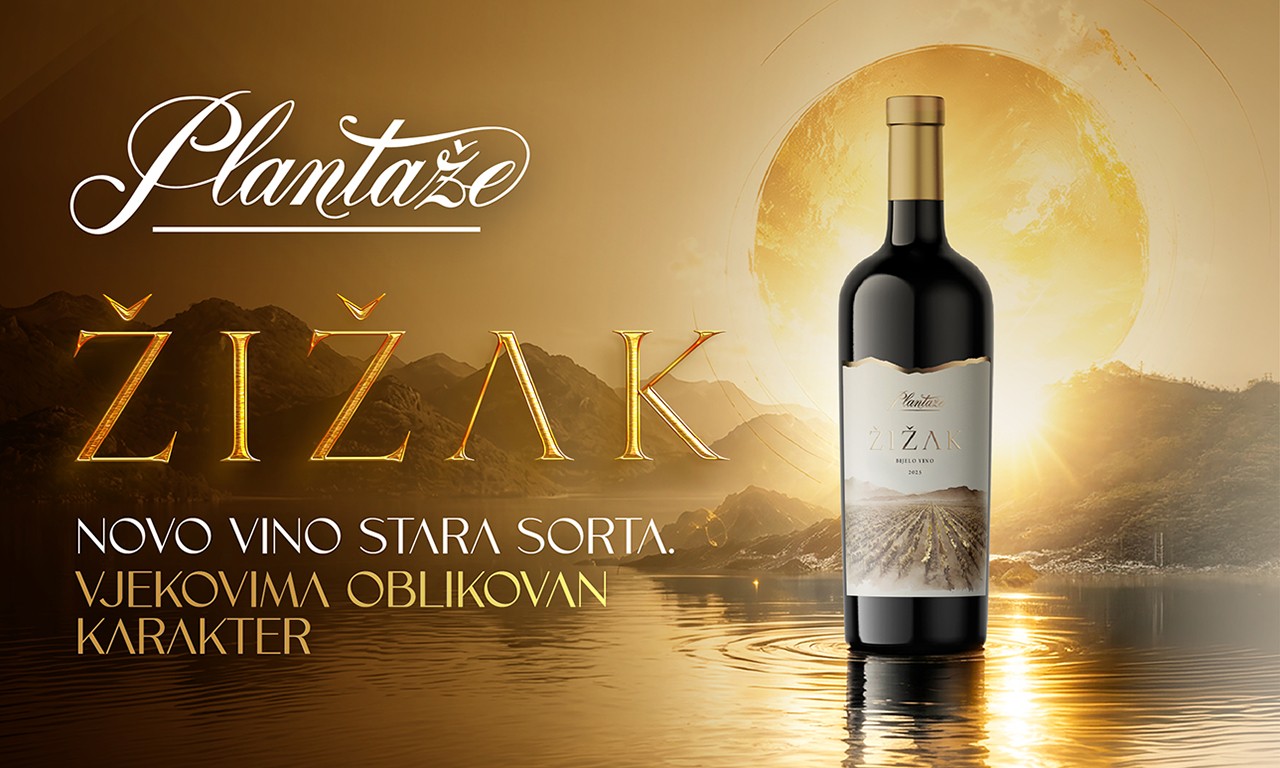 Plantaže ŽIŽAK 2025