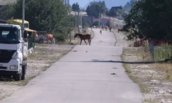 Foto: RTV Podgorica