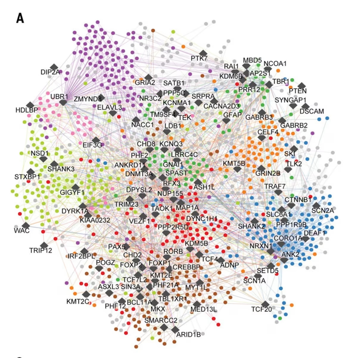 Foto: The Quantitative Biosciences Institute at the University of California, San Francisco