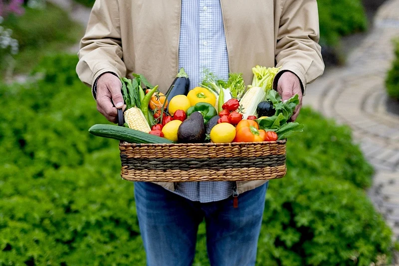 Foto: Shutterstock