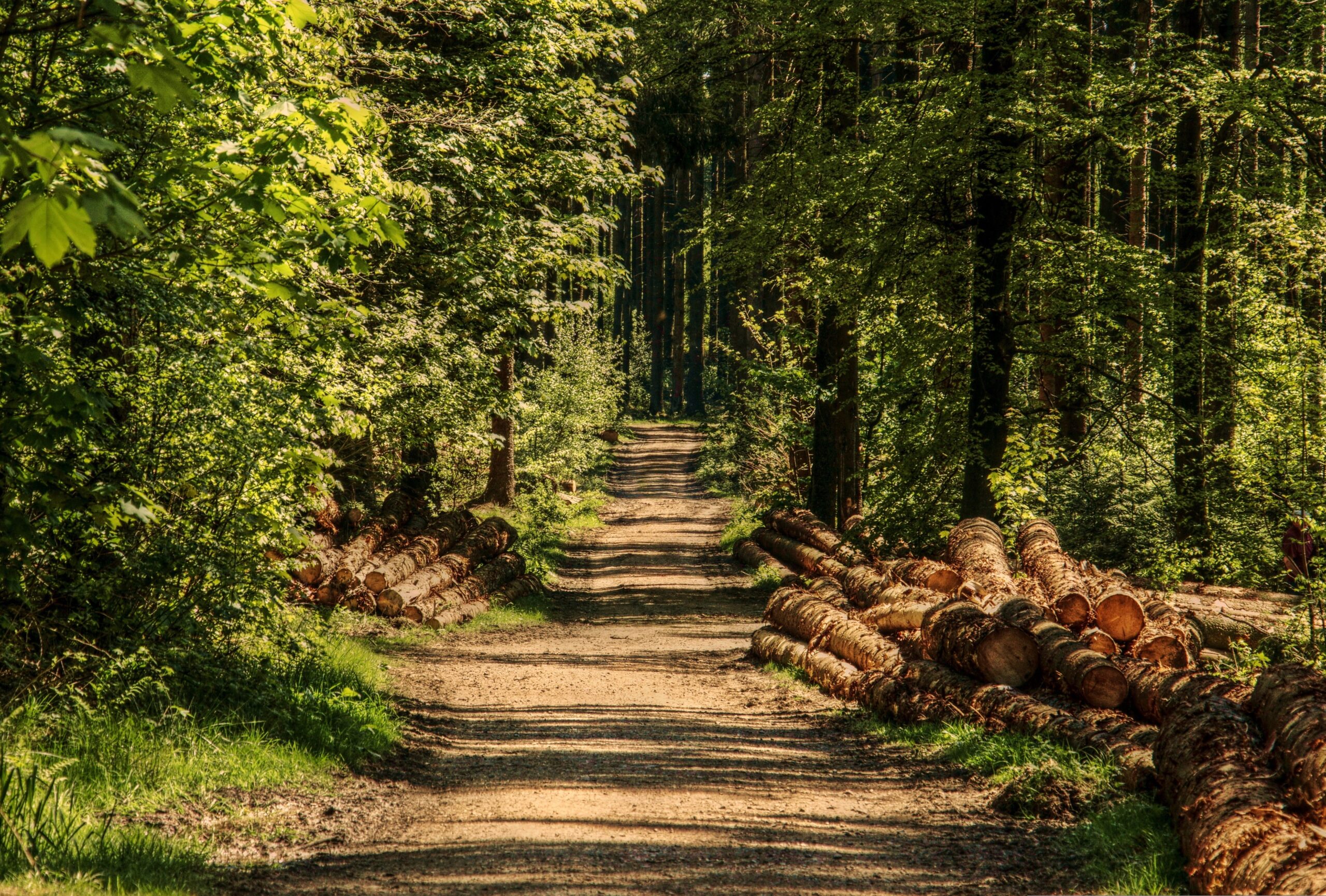 Ilustracija, foto: pixabay