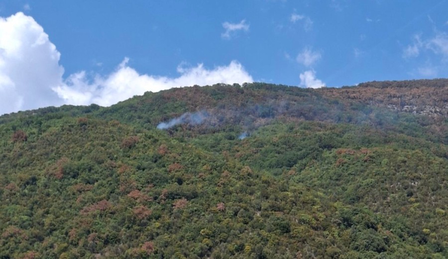 Foto: RTV CETINJE
