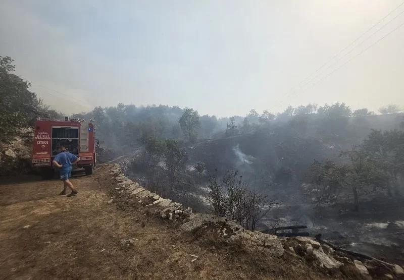 Foto:Radio Cetinje
