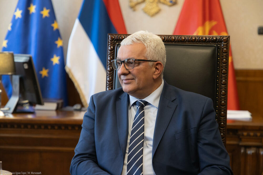 Mandić, Foto: Kabinet predsjednika Skupštine
