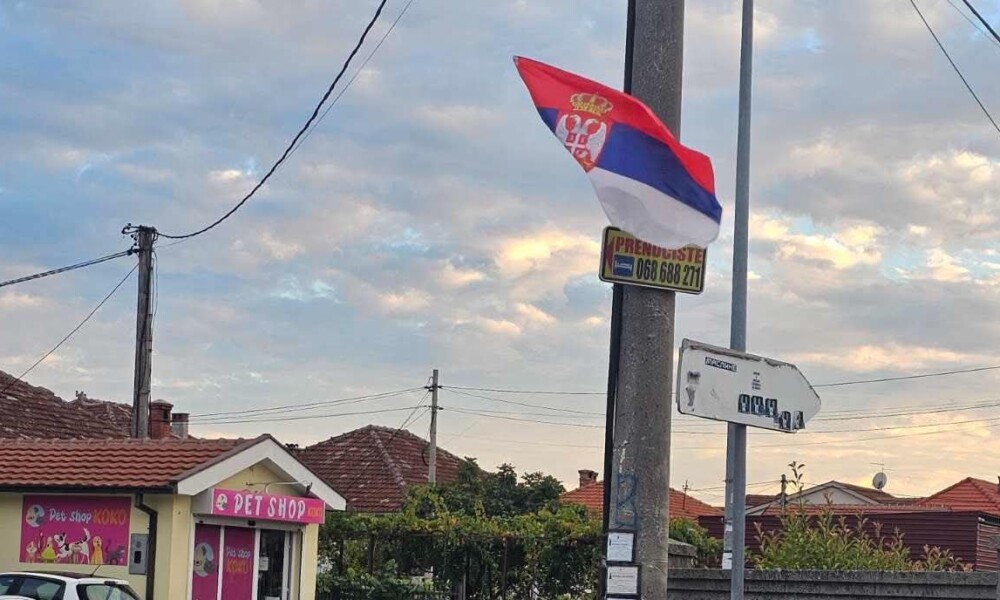Foto: Čitaoci CdM-a
