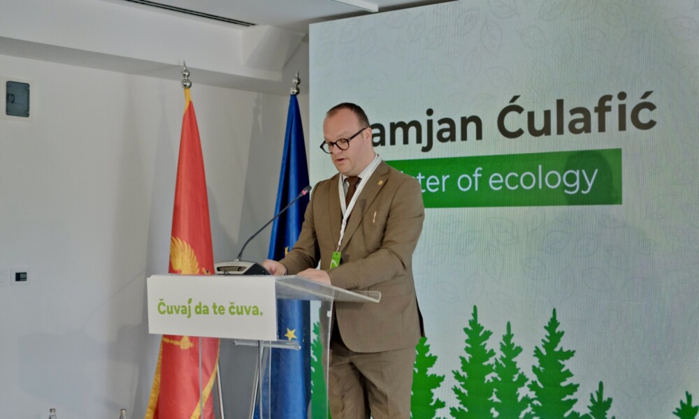 Foto: Damjan Ćulafić