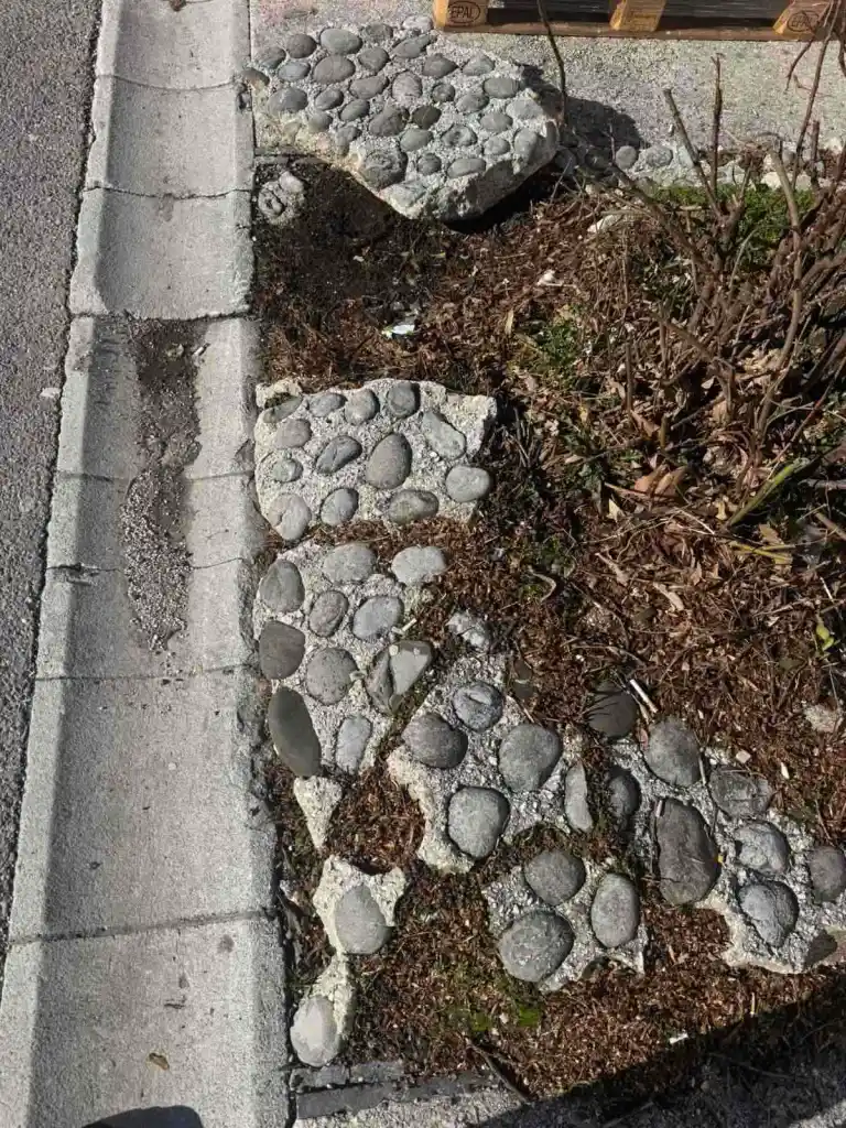 Foto: RTV Cetinje