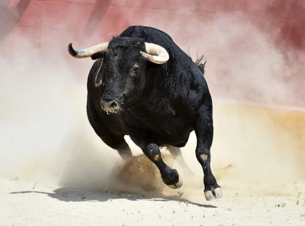 Foto: Shutterstock.com
