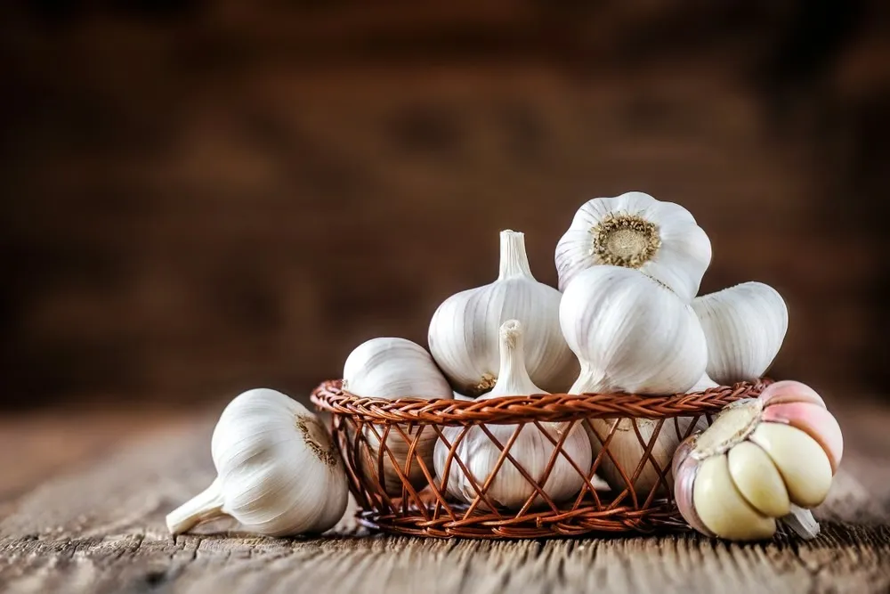 Foto:Shutterstock