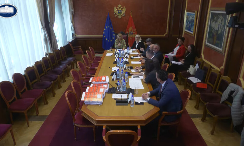 Foto: Printscreen/ Skupština Crne Gore