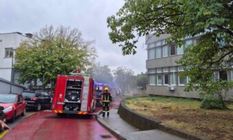 Foto: Milena Marinović/ RTCG